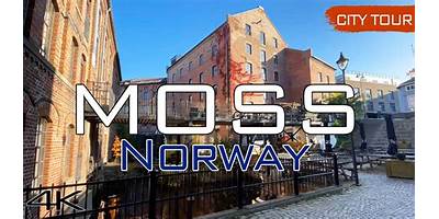 Moss